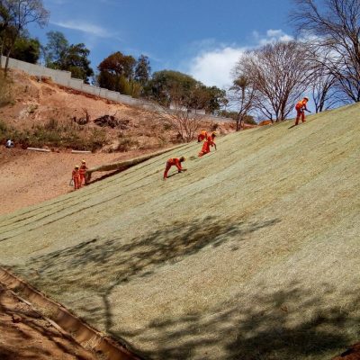 Aplicação de Biomantas-11