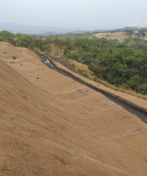 Aplicação de Biomantas-7