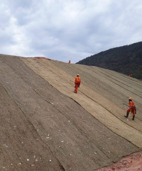 Aplicação de Biomantas - PRAD