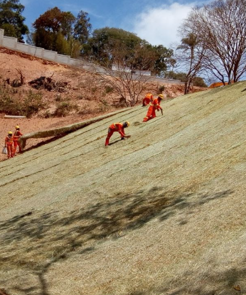 Banner Full_Aplicação de Biomantas