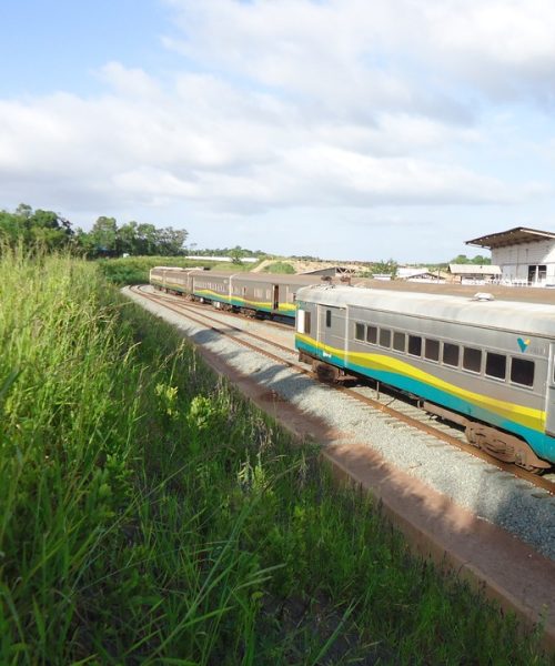 Blog-Revegetação por Hidrossemeadura-01