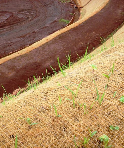 Hidrossemeadura + Biomanta 02